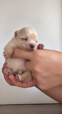 Bounty de Guada Pom